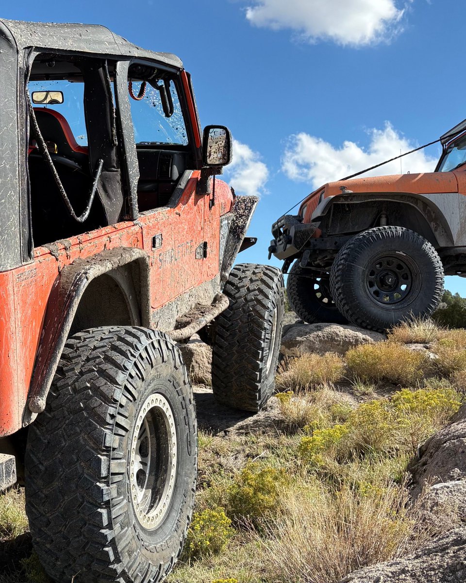 SimpleTire's tweet photo. We spy with our little eyes sick rubber, epic rock crawls... & a wild Chris photobomb. 😎🛞👀 A few weeks back the team escaped to Little Moab for some camping, wheeling, & solid tire testing. We put our Jeep YJ to work on @atturotires Trail Blade X/Ts & threw our Jeep TJ at the slickrock on @NittoTire Trail Grappler M/Ts... & both setups chewed up every line we threw at 'em! 🏕️⛰️

Ready to gear up your own rig for weekend trail escapes? Tap the link below to check out fresh rubber before your next trip!

🔗: https://t.co/MnaVrJeksJ