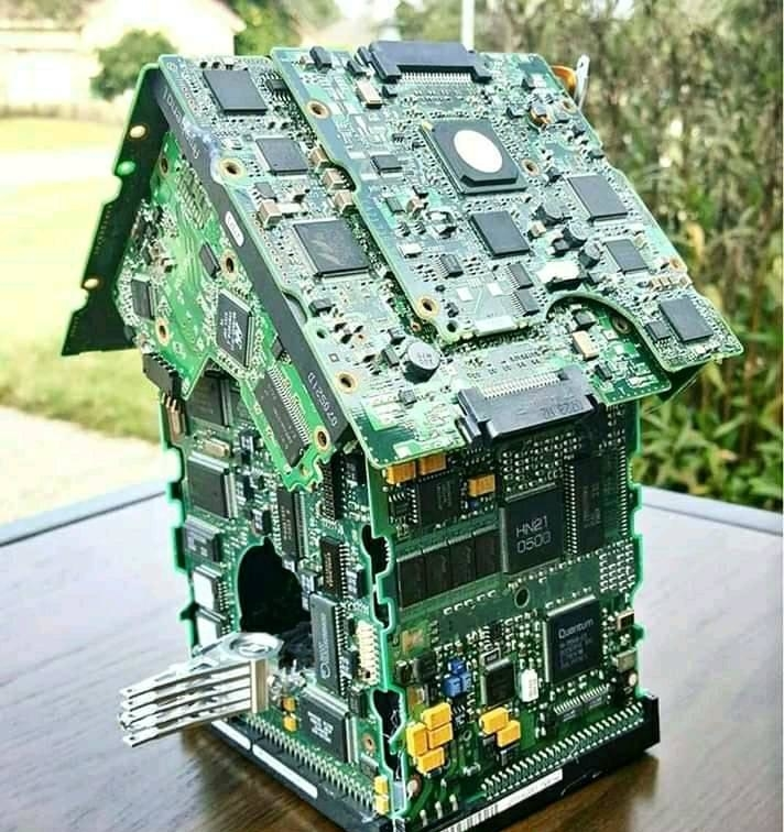 cqcqcqdx's tweet photo. 🐦‍⬛🦜 https://t.co/vkG3ZX8GbW