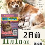 Photo by 🐾 藤村晃子（あきこ）🐕🐈神奈川区・無所属連合 保護猫活動 保護猫の家arigato (@akikofujimura)