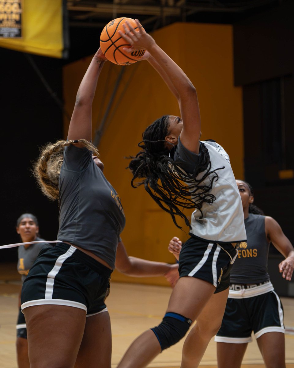 MWSUGriffons's tweet photo. One day closer to opening day!🏀

#GriffUp🦅🦁 https://t.co/ypTETRGKNv