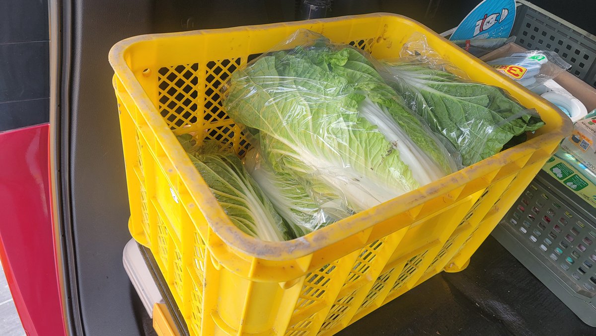kagayakinokorom's tweet photo. ミニ白菜🥬60が収穫限界になりました　食べて頂ける方が少なく廃棄処分するのには勿体無いので　ある団体にあげることにします。皆さん！沢山食べて下さい(^-^)/取りに来て下さい！(⌒‐⌒) https://t.co/QL7m1TMXQo