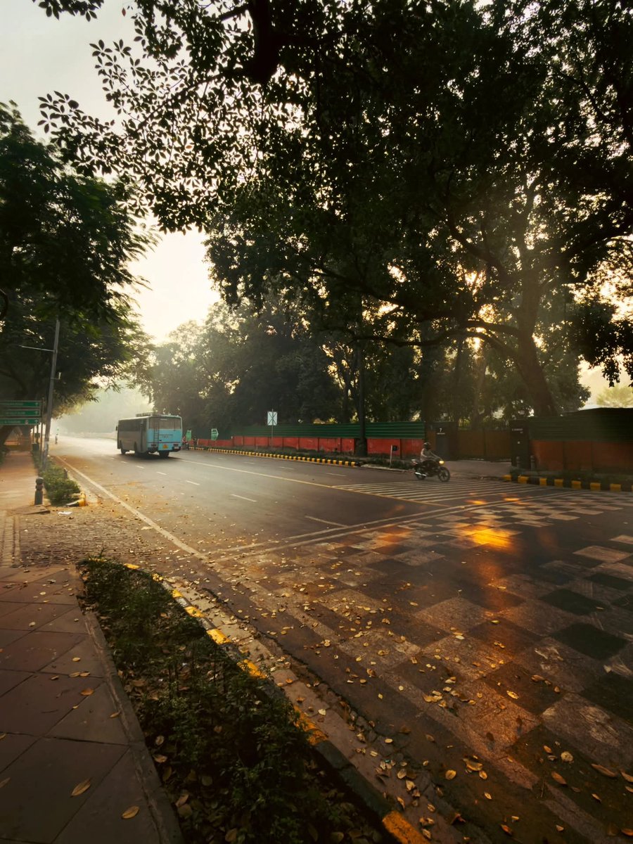 ExploreWithRoy's tweet photo. October and early mornings in Delhi is such a vibe... 😍❤️

#photography #delhi #october #shotoniphone #tuesday @Apple https://t.co/VlG9dCPLj4