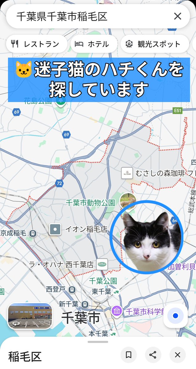 iowancows's tweet photo. 🐱ハチくん

'19年11月 千葉県千葉市稲毛区より迷子

現在9才
お鼻にある模様が特徴的な白黒ハチワレさん

目撃·保護情報はリンク先の👇飼い主様までお願いします🙏

#猫好きさんと繋がりたい
#迷子猫 #迷い猫     

https://t.co/q1tti3a88g https://t.co/qRPd4gMy8O