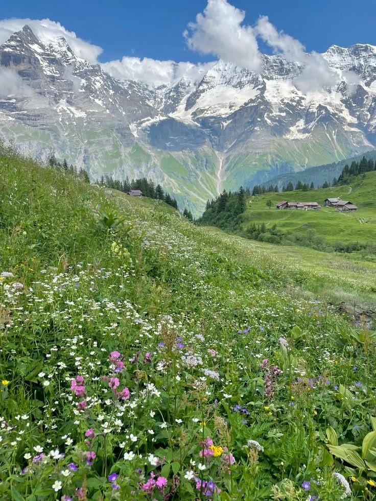 NaturalWorld515's tweet photo. Switzerland Countryside 🇨🇭 https://t.co/1xZXcdP9SZ