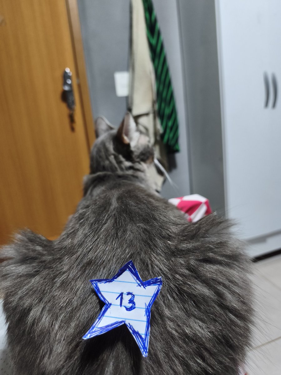 sbs_vanessa's tweet photo. @mandycva Tenho gato com popo gigante e tô com #lula https://t.co/1jNTHjHO1T