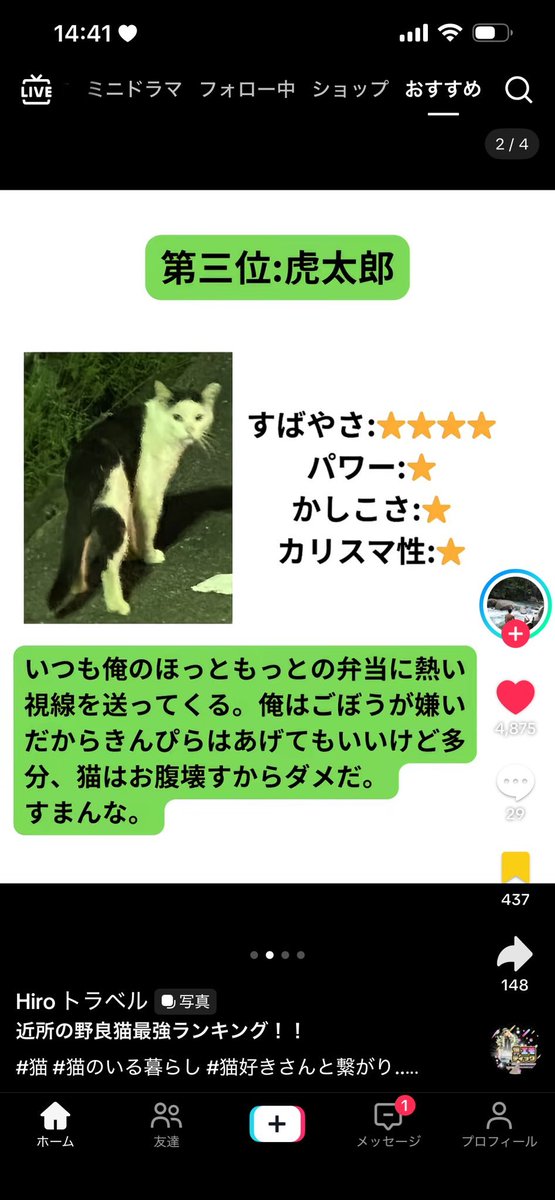 Alchemy_0ari_'s tweet photo. TikTok全部これでいいよww https://t.co/VVWj8rLTBw