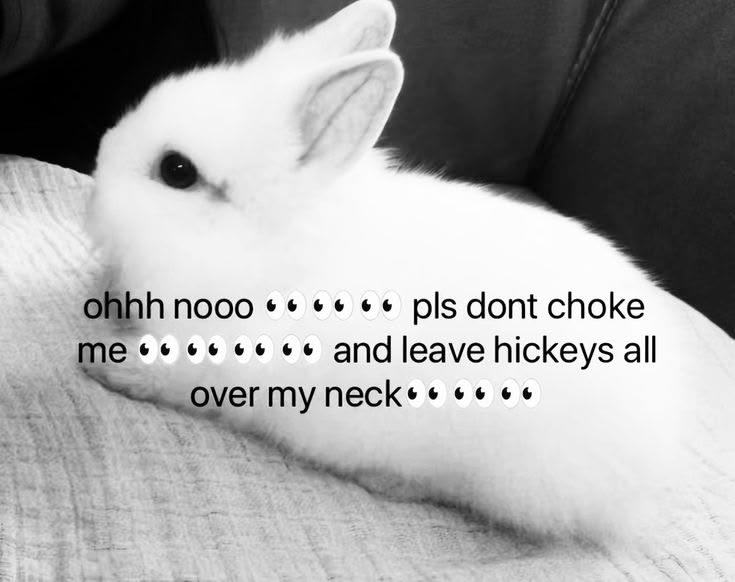 hauntedhotmess's tweet photo. oh noooo pls don't do that 👉🏻👈🏻 https://t.co/HERGgsTv1r