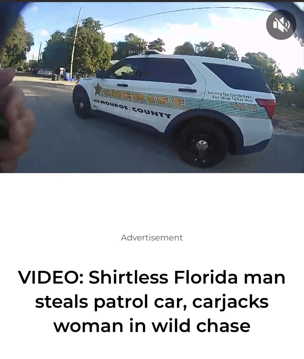 MatthewCarrell's tweet photo. @OrwellDay @NotHoodlum Coming soon to an episode of Florida man…. https://t.co/OBxUcKu3ek