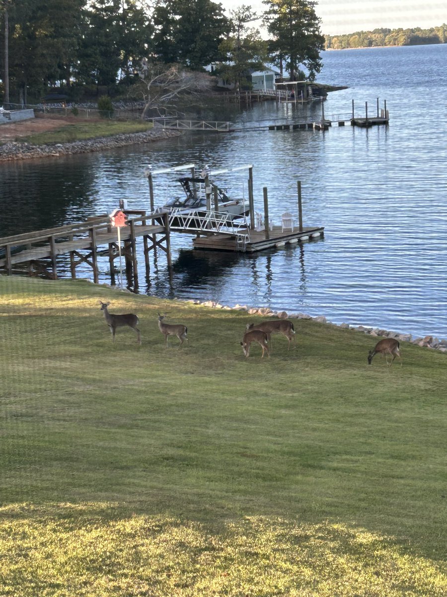 Retacof's tweet photo. @pappybest Perfect day here! https://t.co/WcHVFhKUfd
