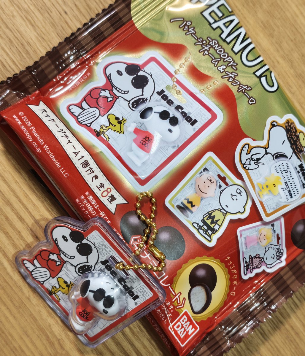 gohomewithall's tweet photo. スヌーピーのパッケージチャーム、炎の一点集中購入でグラサンスヌーピー https://t.co/NdTKbTkS84