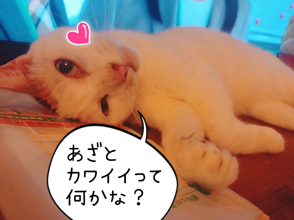 rioriojyaneiro's tweet photo. おはりおございます⛅️
今日はりえちゃんの
 #井戸端らじオー！さん にお邪魔いたしますー☺️
色んなことお話ししちゃうよ
ドキドキだー❣️
すいすい水曜日
みなさま素敵な一日を🐕 ͗ ͗ https://t.co/vENjHSjRtr