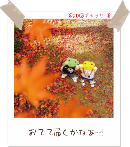 picklesthefrog6's tweet photo. 【Today’s pickles】#かえるのピクルス #picklesthefrog 
#todayspicklesofficial #萌蛙匹克 #泡菜青蛙
https://t.co/7eMmPEjcCX
みんなでピクルスの写真を投稿しよう♪
応募期間：2026年10月01日〜2027年03月31日
結果発表：2027年5月上旬 https://t.co/4d6rICDMqH