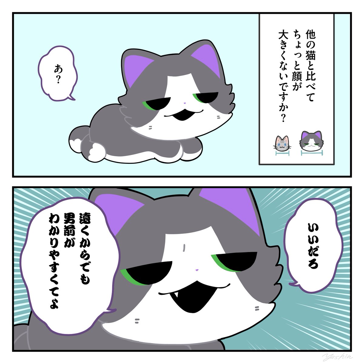 Y_ashi_n tweet picture