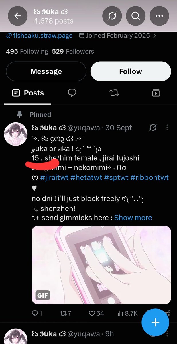 somethingidk654's tweet photo. @BlackRedThunder @Lord_Joez The guy who commented is doing this cus I called out the fact he's messaging and following minors btw he's a literal pedophile https://t.co/P4p24E9xKT