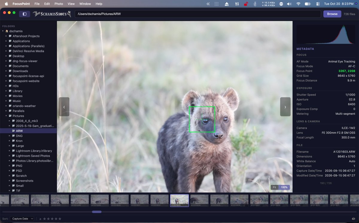 dschamis's tweet photo. Shooting 4,000 frames and no fast way to tell which ones the AF nailed?

I vibe coded FocusPoint — a free Mac app that draws the focus point your @SonyAlpha camera recorded right on the image.

I've been asking @Adobe for this in @Lightroom for years - then I ran out of patience!

Free, no account.
https://t.co/5nFIwaaIbJ

All comments welcome.  Be kind to me - this is the first app I have coded myself since doing one to calculate baseball averages in BASIC on my Commodore64.