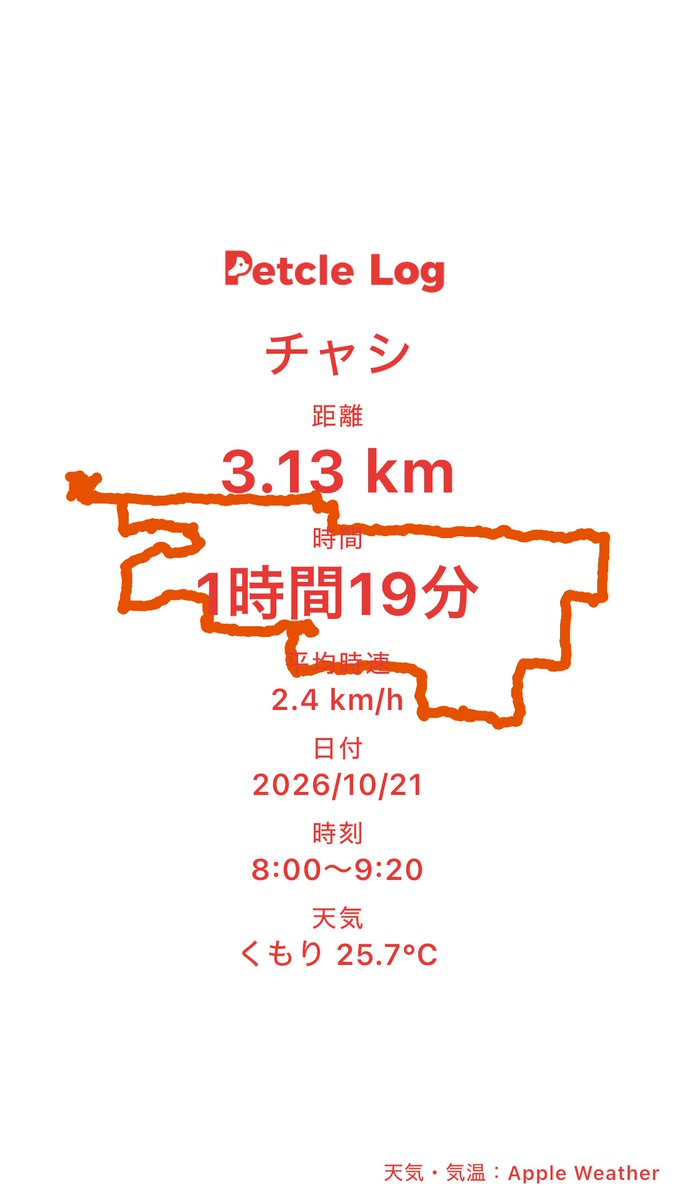 Kazeto_TrueLove's tweet photo. 冬に向けて少しずつ朝散歩の時間を遅くしたいけど、早朝と違って車や人の話し声などいろいろな音が気になって観察柴になるので全然動かないね🐕 https://t.co/d4nchXNHeU