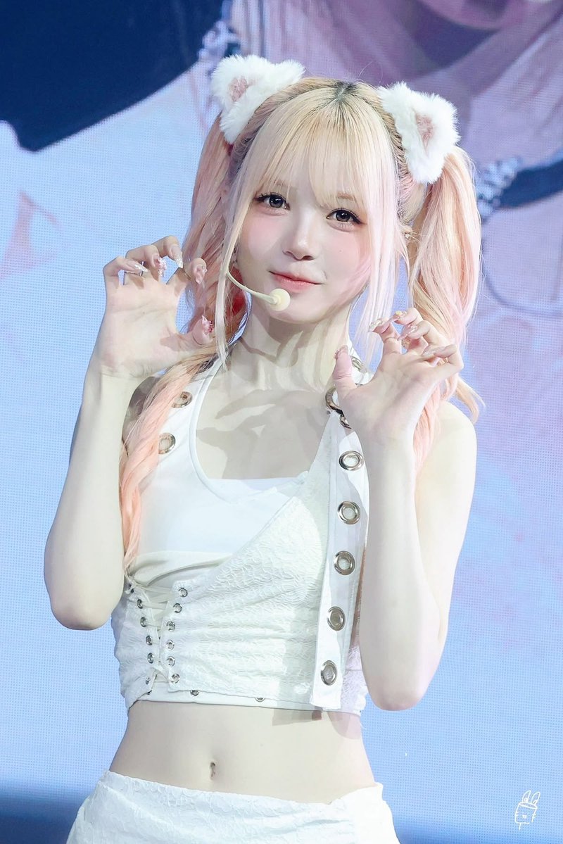 222avalon's tweet photo. ₍^. .^₎⟆ ♡ https://t.co/dGphMHitRR