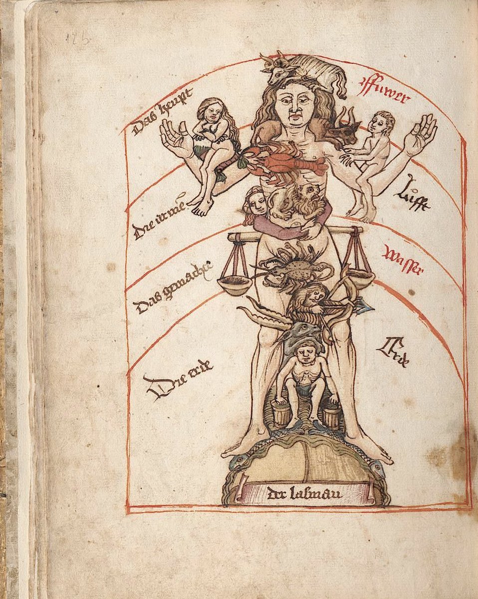 rosaxmundi's tweet photo. "Zodiac Man" or "Bloodletting Man" (Aderlassmann) from the late 15th-century German manuscript titled Tübinger Hausbuch (ca. 1470-1480)
