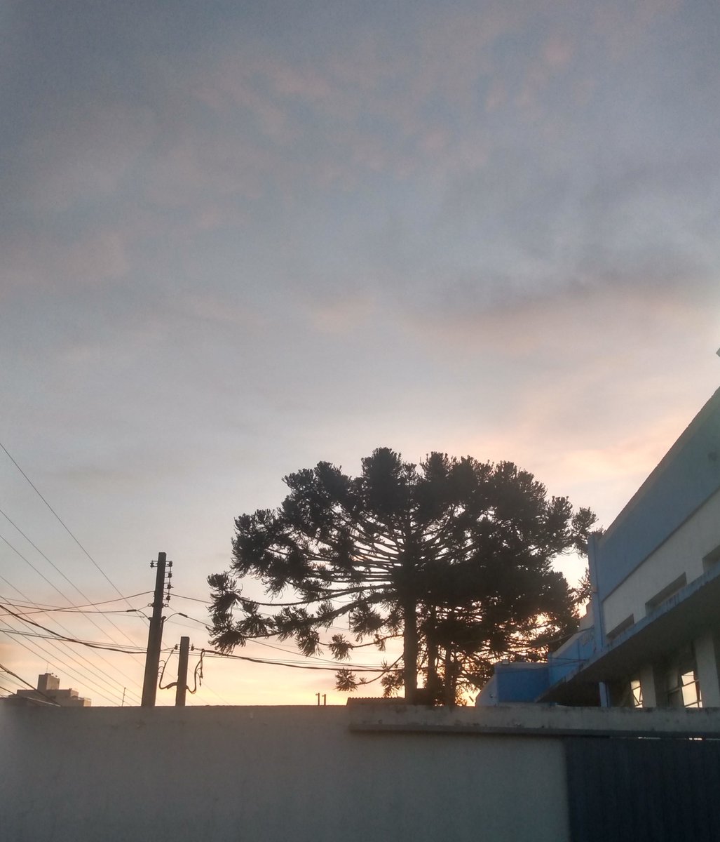 hannah0lfj's tweet photo. Eu sinto tanta raiva mas tanta paz nesse lugar... https://t.co/qlO3GUxgN2