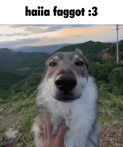 Rustythewuff tweet picture