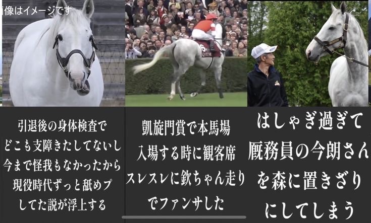 hayakore's tweet photo. 競走馬界の問題児、ゴールドシップ集 https://t.co/X62pEpaGtX