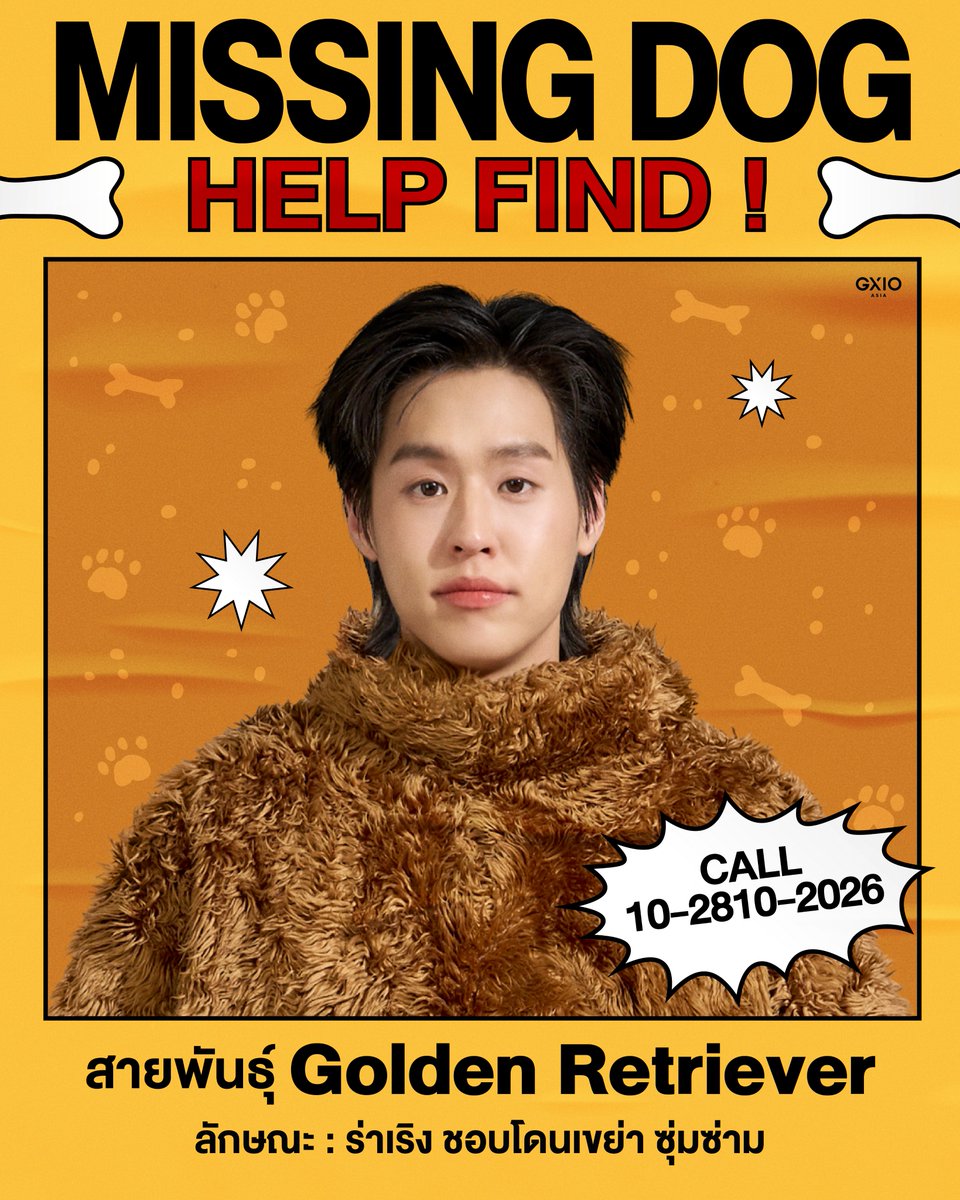 GX10_ASIA's tweet photo. 📢  ตามหาน้องหมา Golden Retriever หาย! น้องหายออกจากบ้านไปสักพักแล้ว ลักษณะตามรูป

🐾  ใครพบเจอทักแจ้งพิกัดได้เลยที่ @gx10_asia 🙏

@JJksnp @Billkin_Ent
#GoldenRetriever_JJBK
#JAYLERR #Bbillkin
#GX10_ASIA #BillkinEntertainment https://t.co/8qxek5i3VV