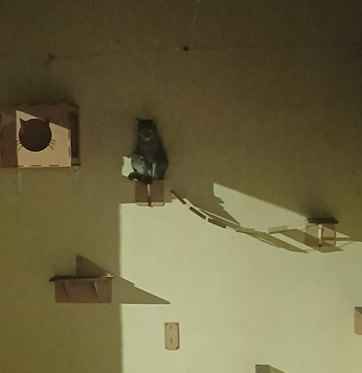 LoveFowever's tweet photo. Saio do meu quarto e me deparo com o Batman vigiando minha porta das sombras https://t.co/4RsHe0NAqp