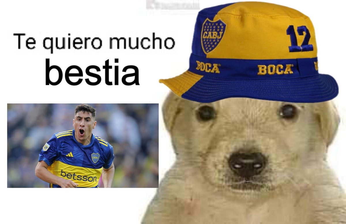 Meel_Galarza's tweet photo. LA BESTIA MERENTIEL https://t.co/p3pnvV7iNM