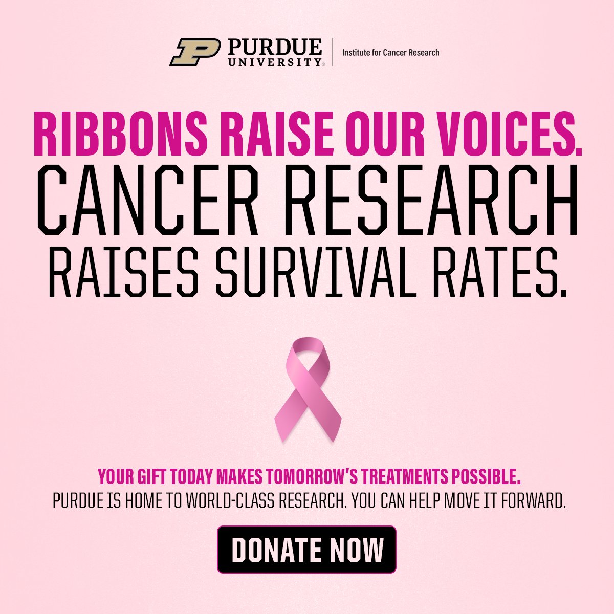 PUCancerInst's tweet photo. The future of cancer treatment is being investigated today. 🎗️ Help fund the research behind it.
https://t.co/GAg9m7z7Os