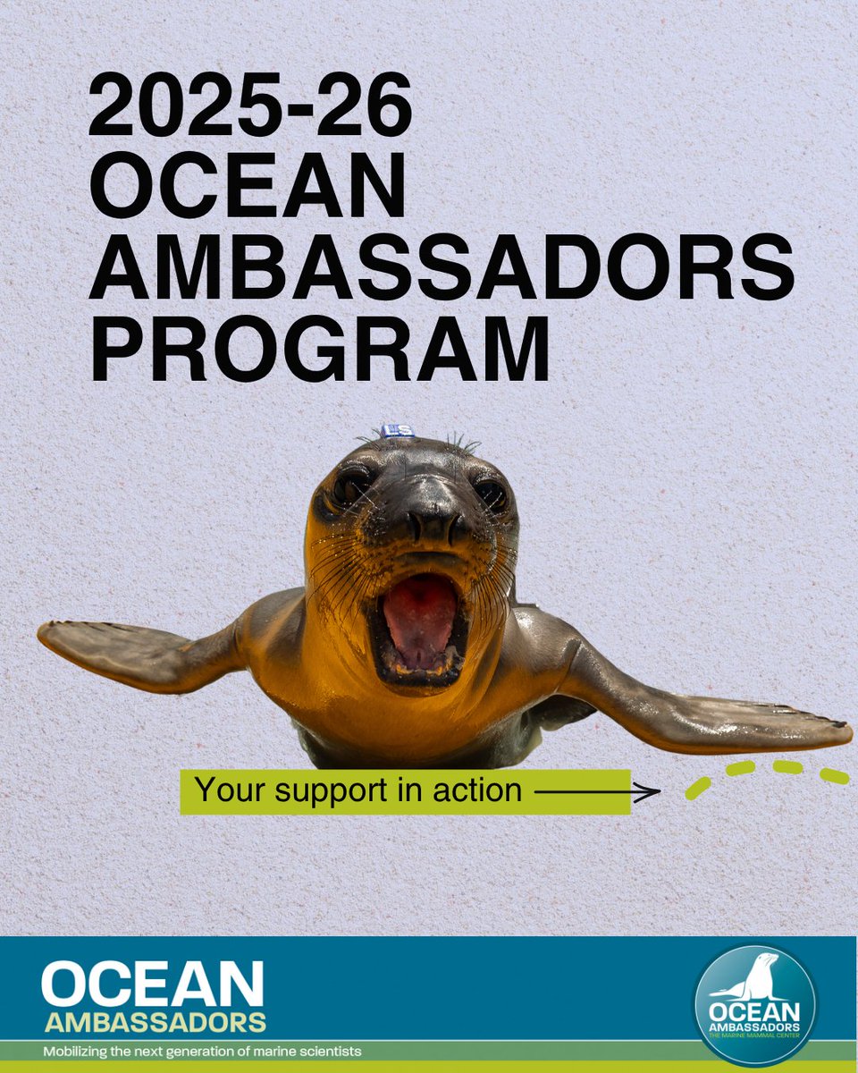 TMMC's tweet photo. During the 2025-26 Ocean Ambassadors program year, we welcomed 59 #teachers and 5,000 #students from seven #BayArea counties.

Learn more about this immersive year-long program at https://t.co/DvBuCgJhYW. https://t.co/8P3JcDOVhR