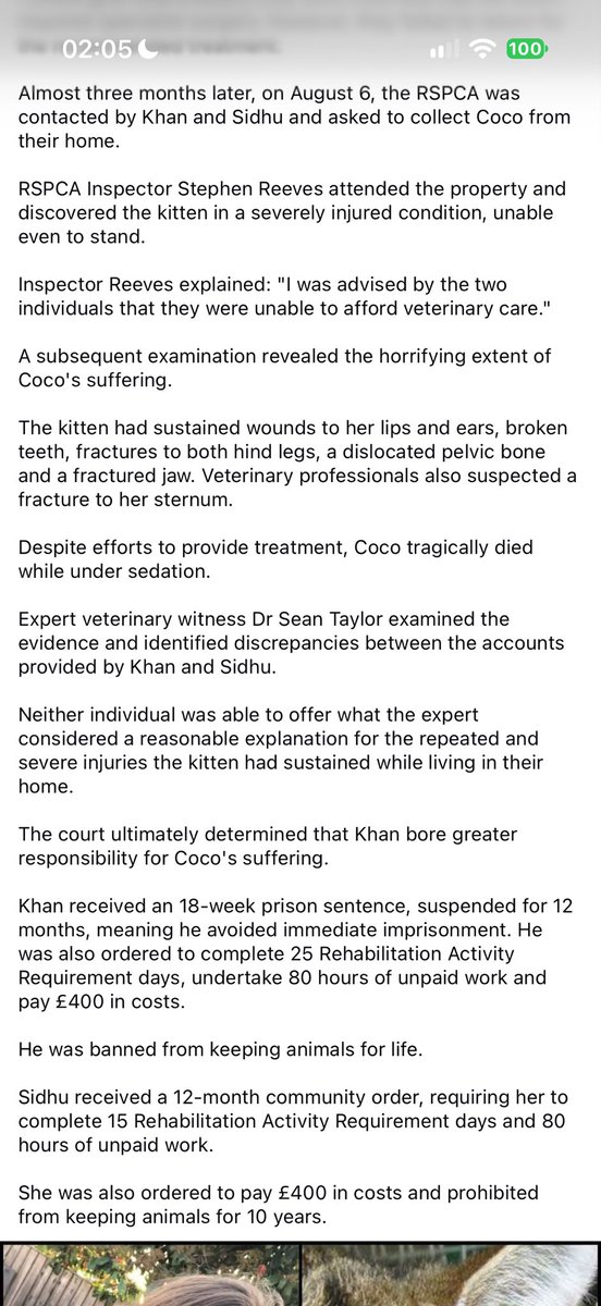 Sunnysideuirip's tweet photo. #zohaibkhan #priyasidhu #bedford #adelaidesquare #nhs #nhsworker #bedfordtownfc #btfc #theeagles #eagles #realbedfordfc #thepirates #pirates #nhs #nhsworker @NHS @NHSuk #bedfordshire #luton #miltonkeynes #animalcruelty #animalabuse https://t.co/WrXvMXtLXn