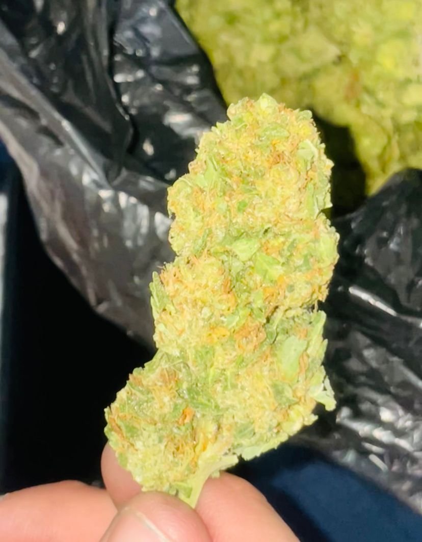 mrtripsmr's tweet photo. Pura sabrosura 🤤🤤
#weedlover
#cuu https://t.co/9gDBlcBbdB