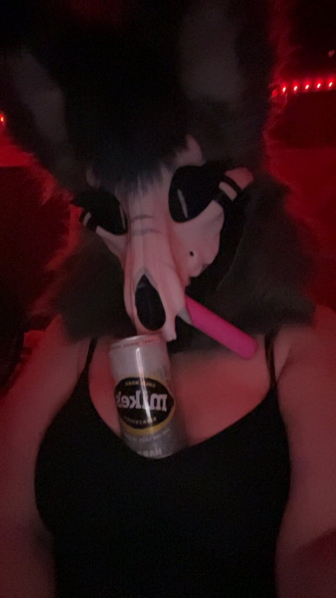 RainaMoonno's tweet photo. Anyone down for a drink and a fun time~? 
#nsfw #fursuit #furry #fursuiting https://t.co/ipd9WscSzA