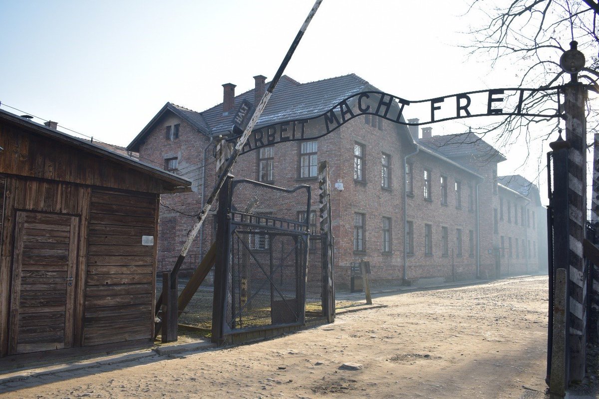 SillyParodyCats's tweet photo. OOC Post

Racism, is stupid

Prejudice, unnecessary 

Extremism on both sides, just stop.

Grown ass people? Have a discussion.

Sit the fuck down over coffee

Agree to disagree if need be

Palestine, should be free

If you spend your life spreading fear, go fuck yourself https://t.co/pDDGVFf6MM