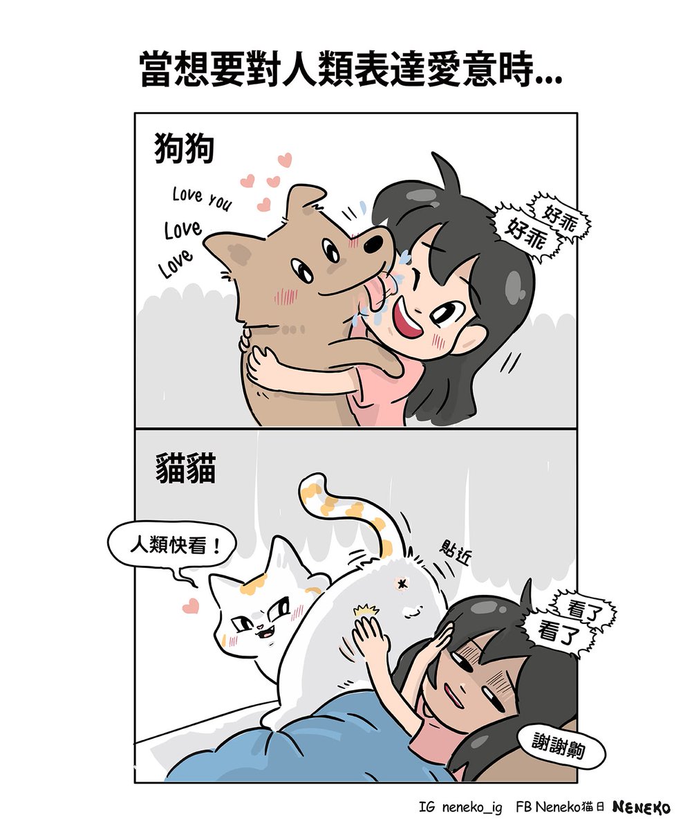 Neneko_Nichi's tweet photo. 快看!  快看!  =Φ∀Φ= https://t.co/F6ccDlHJNH