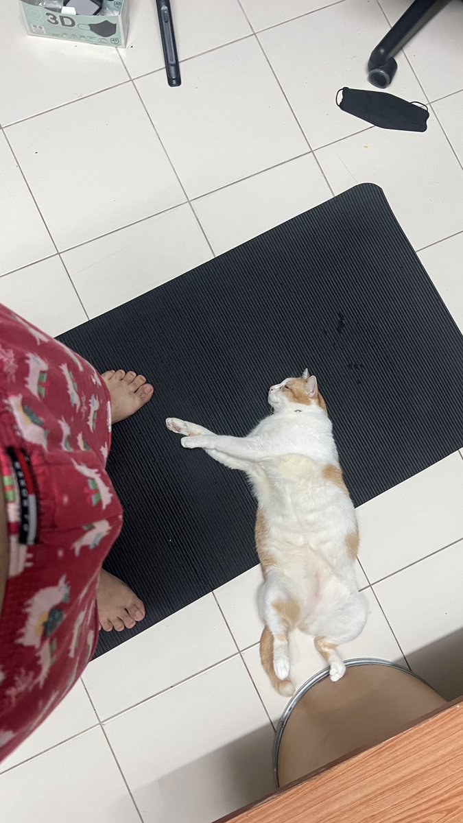 KRBYKIM's tweet photo. หลีกหน่อยครับท่าน #ฉะเชิงเทรา https://t.co/G1GYoYqmPa