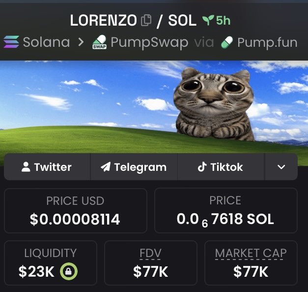 Lorenzo_Sol_'s tweet photo. Dex paid 😼 https://t.co/LVpnpniu1v