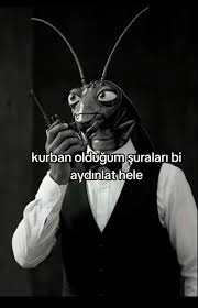 mildeath9's tweet photo. @derKa1serr ortaya çıkan https://t.co/HxdYjwa8Tw