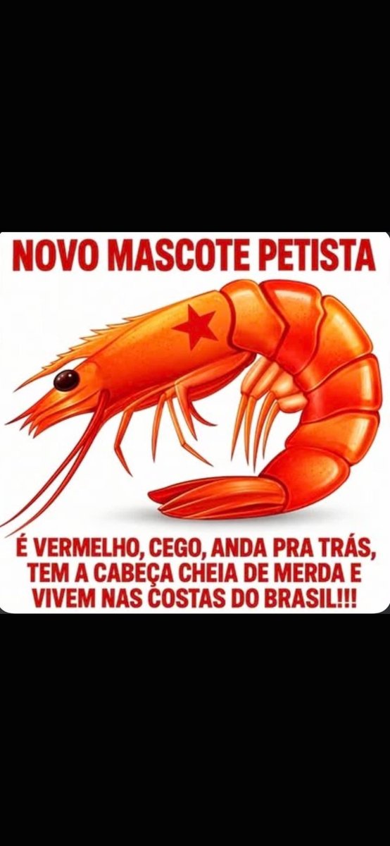 SergioSouz15440's tweet photo. @Krisdiogo 22 FLÁVIO BOLSONARO PRESIDENTE DO BRASIL 🇧🇷 🇧🇷 🇧🇷 
#DelataRoberta 
Luladrão seu lugar é na prisão. https://t.co/OXYngsVbMn