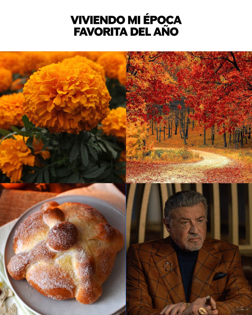 ParamountPlusMX's tweet photo. Nada como un pan de muerto y mi serie fav para pasar la tarde  👀🍁
El nuevo episodio de la nueva temporada de Tulsa King ya está disponible en Paramount Plus.

#SylvesterStallone #TulsaKing #ParamountPlus https://t.co/CrsqnjkvpA