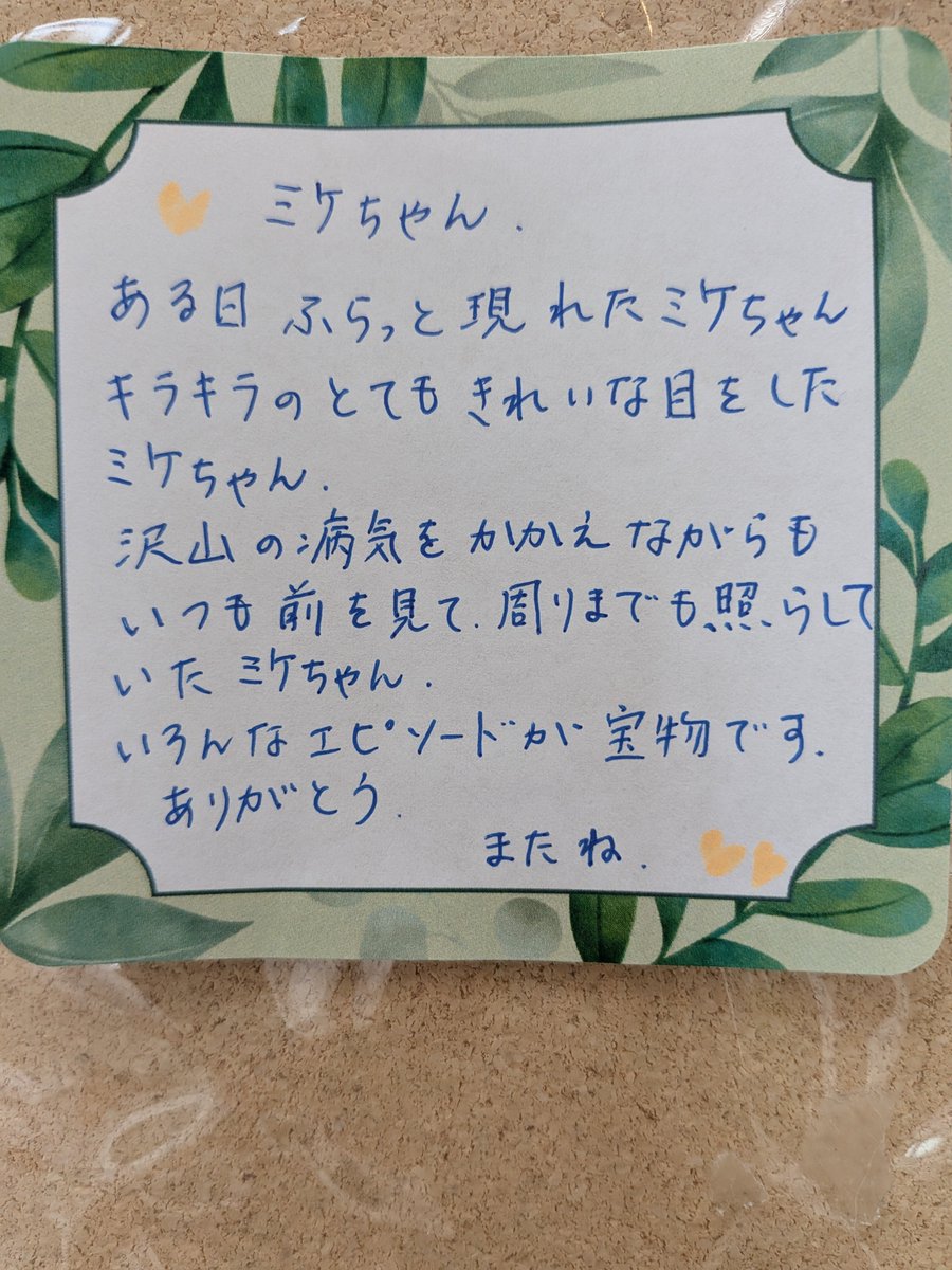 ojm52811's tweet photo. ミケちゃんが荼毘に付す間皆様からの温かいコメントを読まさせていただいております。待合室にミケちゃんの本が置いてあってとても感激…。火葬式が終わりましたらまたご報告させてだきます。 https://t.co/ZBcquANfi1