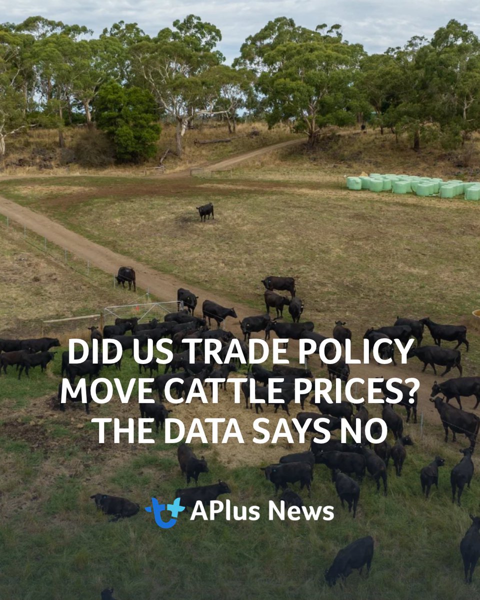 AuctionsPlus's tweet photo. Twelve months of US trade headlines kept cattle producers on edge. Did tariffs, quotas and new deals actually move prices on AuctionsPlus?

READ ARTICLE: https://t.co/0GKXIUdUVn https://t.co/J0aqMjpVcT