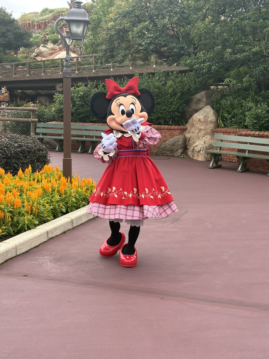 662Ou's tweet photo. iPhone17eで撮ったベリーちゃん https://t.co/4dokhJ6UkK