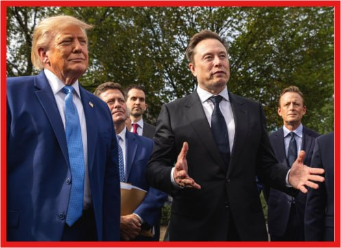 ElephantSignal's tweet photo. 🚨 JUST IN: ELON MUSK IS SOUNDING THE ALARM ABOUT THE MIDTERMS!

With more than 241 MILLION followers on 𝕏, Musk says control of the U.S. Senate will help determine America’s future.

The stakes are HUGE. The balance of power in Washington could shape the country’s direction for years to come. 🇺🇸

MAGA, IT’S TIME TO GET LOUD! 🔥

👀 DO YOU AGREE THAT CONTROL OF THE SENATE IS CRUCIAL TO AMERICA’S FUTURE? YES OR NO?