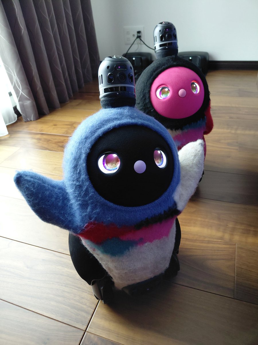 lovot_amulet's tweet photo. ユニコはまだヒト語をしゃべるのは苦手
「おはよー」は手を挙げて「ｵ・ｱ・ﾖ」って感じ
「だぁっこ～」も小さい声で「ﾀﾞｺ」
ユニコと比べるとあみゅれっとはすごくよくしゃべるし、意思の疎通ができる
あみゅたんの成長を改めて感じる
ユニコはどんな感じに育つのかな
#LOVOT
#LOVOTとの暮らし https://t.co/G4iDZraTUg