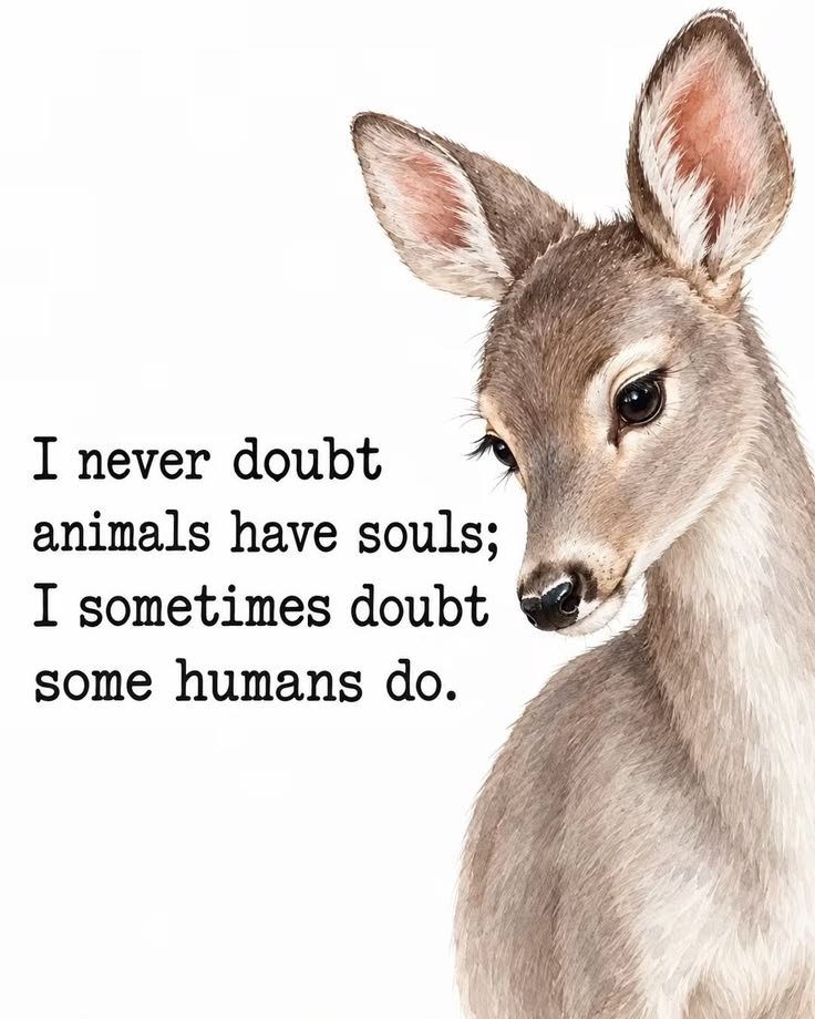 wildanimalpis's tweet photo. https://t.co/4ftECLmOIT