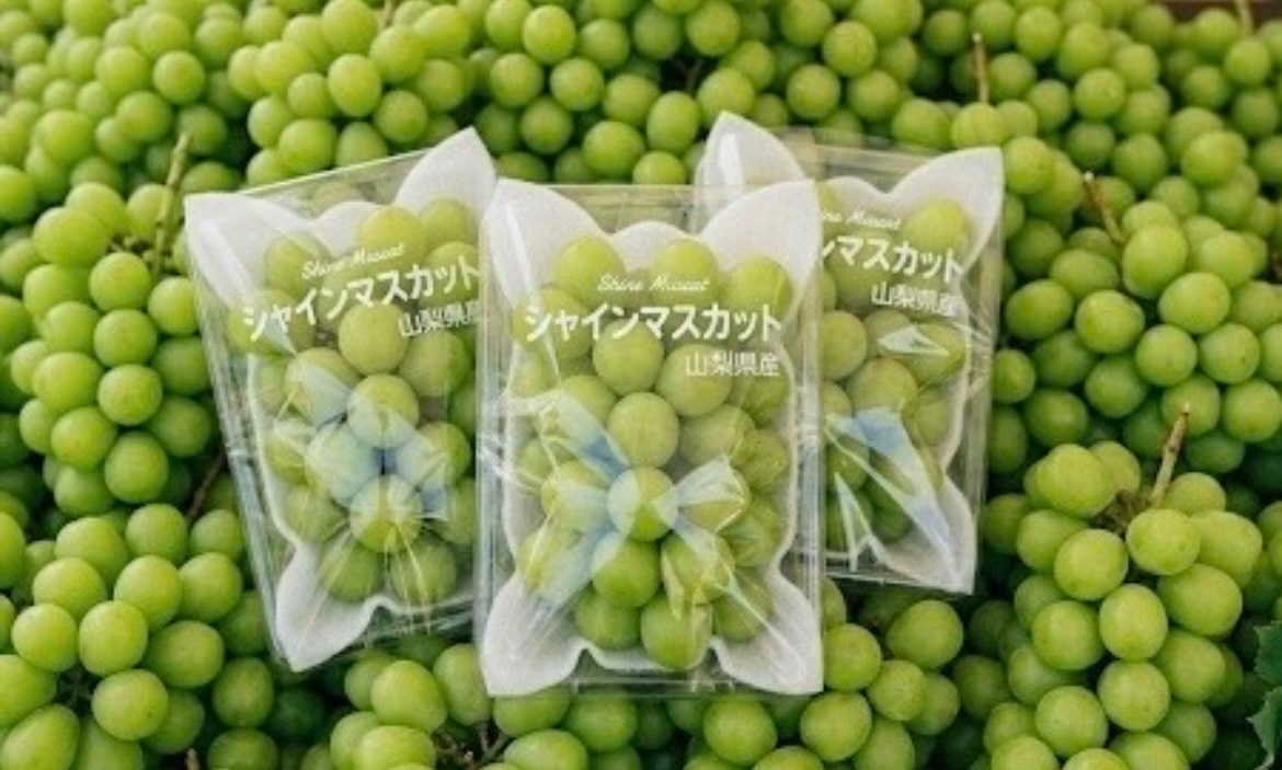 yo_suinoen_01 tweet picture