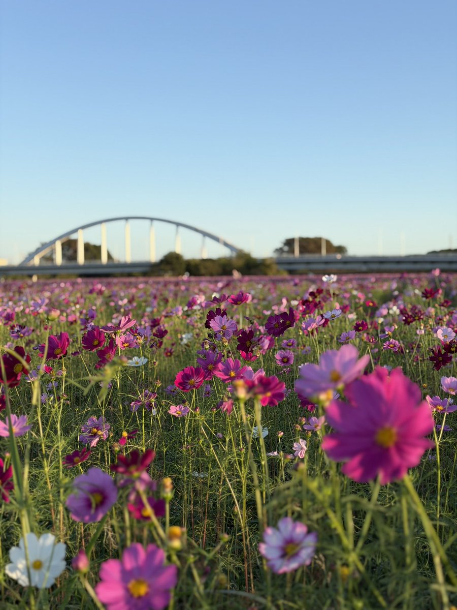 shimokankou2 tweet picture