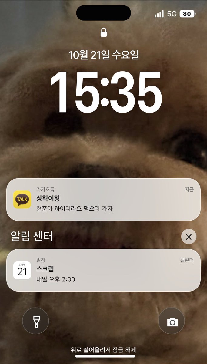 rannyezz's tweet photo. 🐿️와 🐨의 아이폰을 구경하세요 📱♡ 
롤챗부터 숨겨진 이스터에그들을 찾아보세요 🤩

비밀번호: 0722 / 1205

🐿️ : https://t.co/rSnyzrKieX
🐨 : https://t.co/cMUqSJj4TH

부족한 부분이 많으니 수정 필요한 부분은 언제든 편하게 말씀 부탁드립니다 https://t.co/AabI1JYqKp