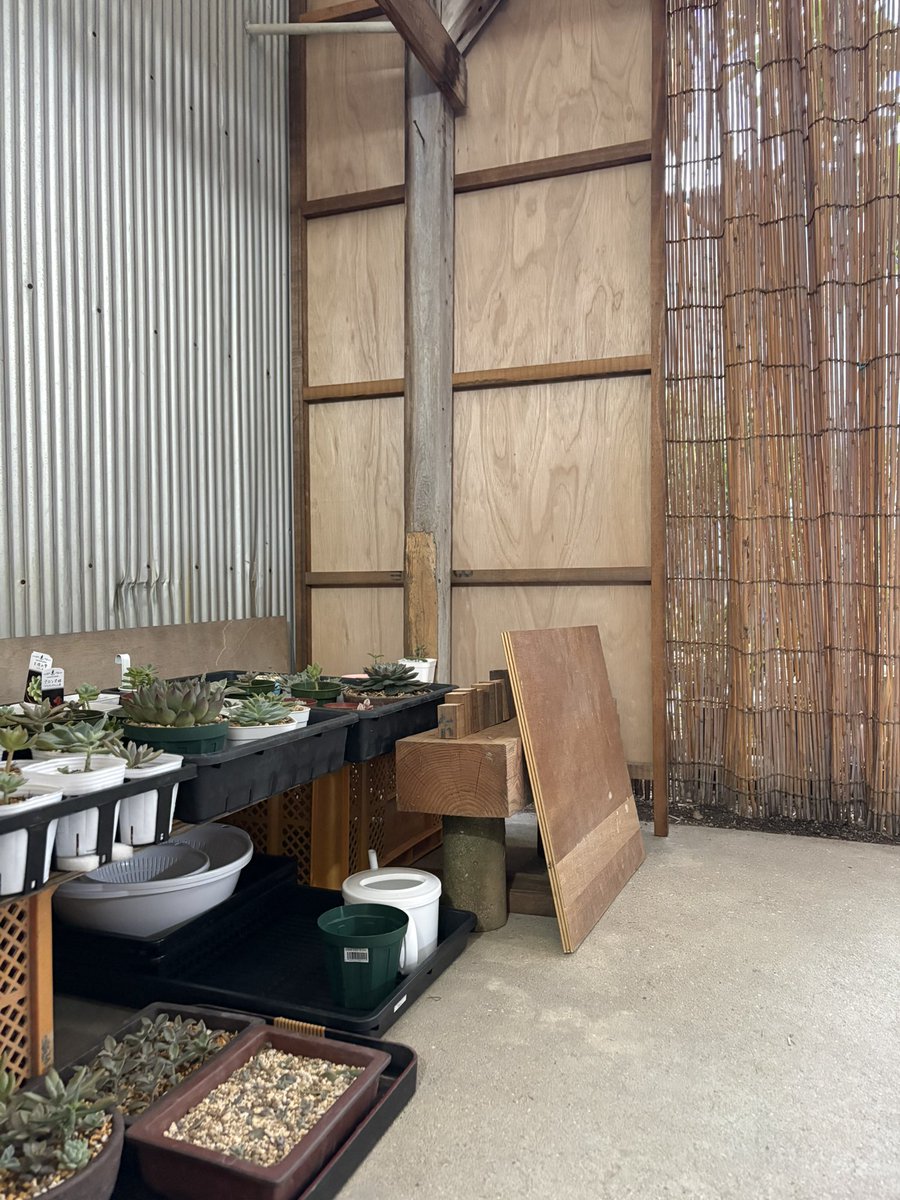 souko722's tweet photo. 父に、多肉置いてるところに雨避けを作ってもらいました！
さすが大工、サクッと作ってくれました(๑ ́ᄇ`๑)
吹き込むような雨の時はすだれ対応できるようにしてもらいました https://t.co/btQHmSpeqd